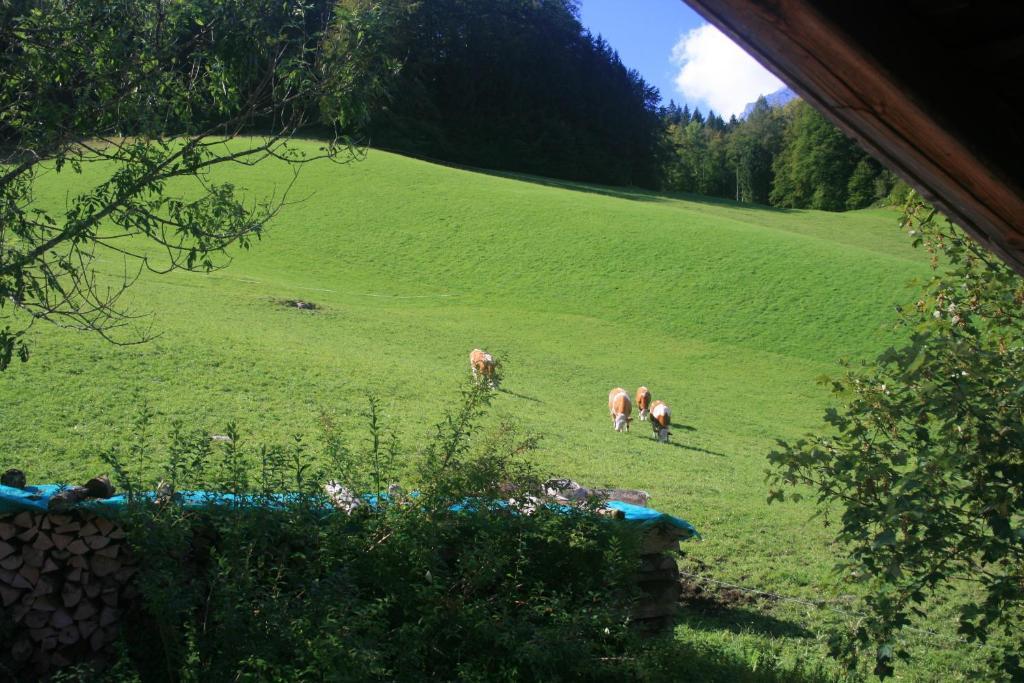 Alpenhotel Beslhof Ramsau bei Berchtesgaden Quarto foto
